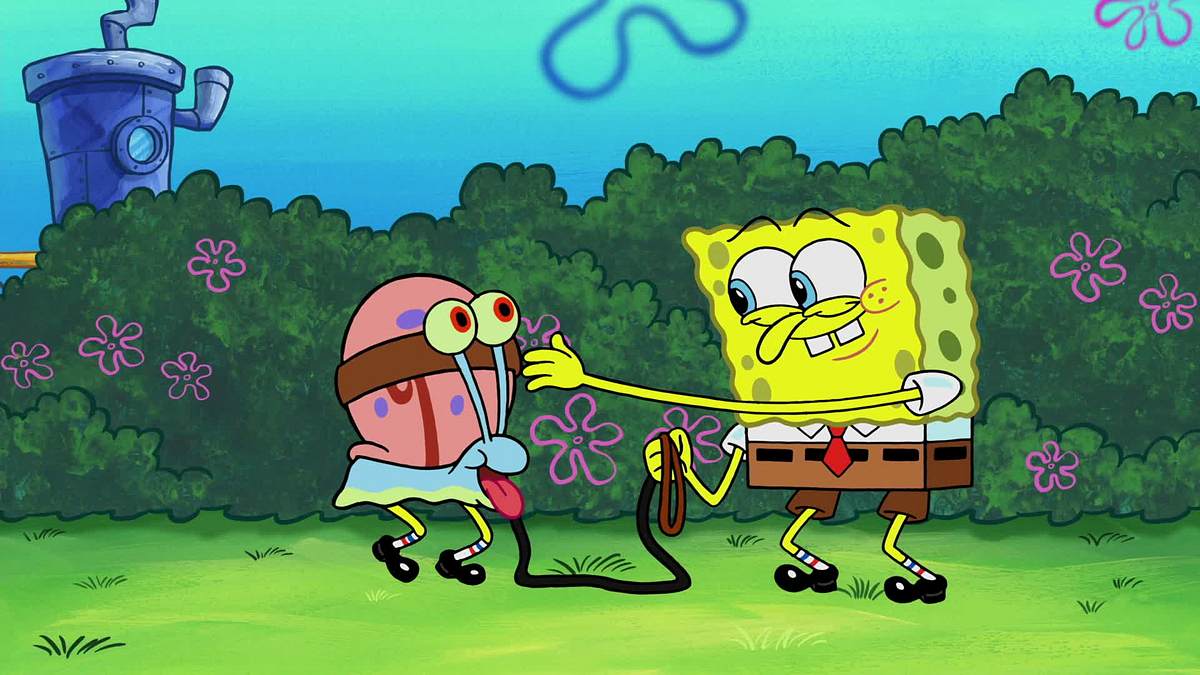 spongebob schwammkopf