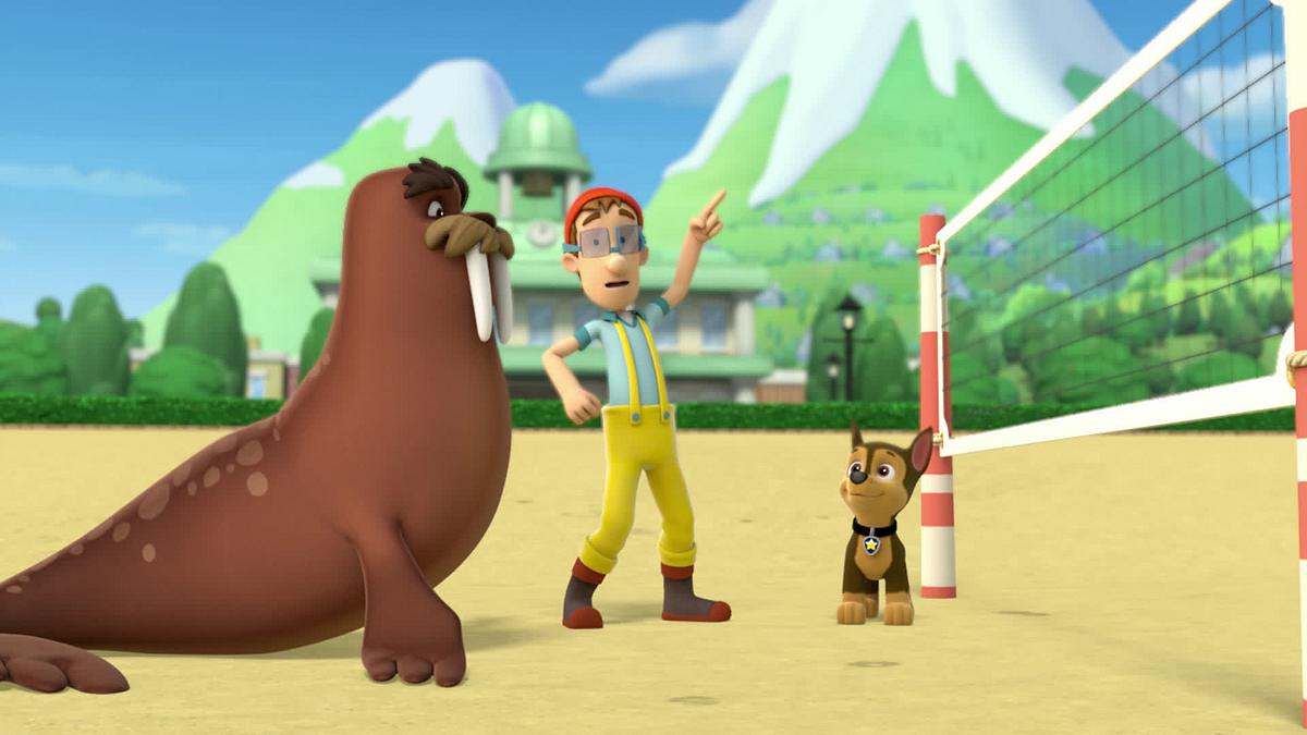 paw patrol - helfer auf vier pfoten