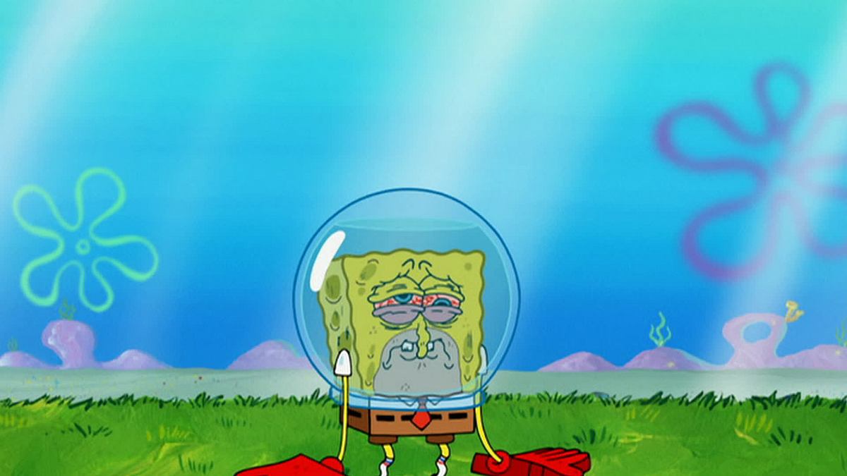 spongebob schwammkopf