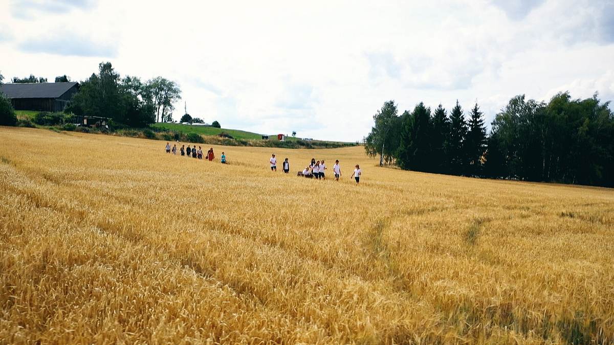sommercamp - back to the roots