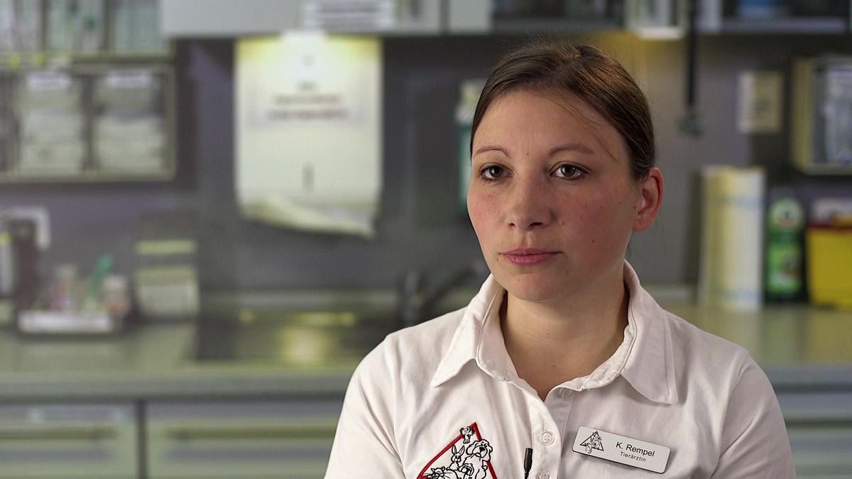 hautnah: die tierklinik
