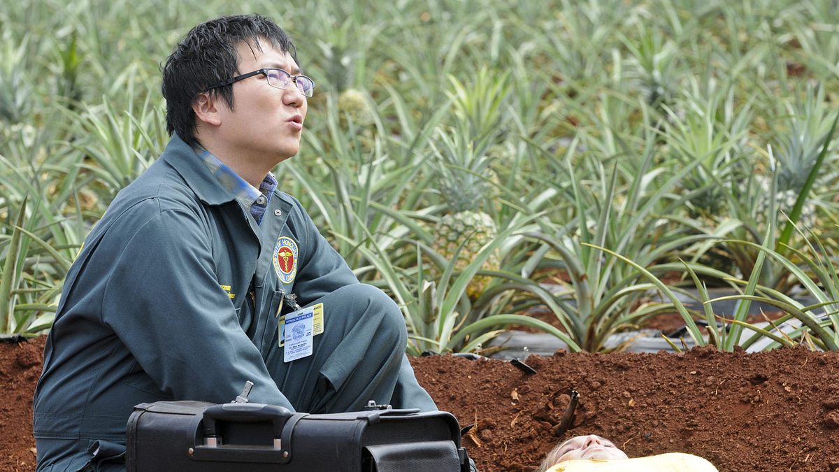 hawaii five-0