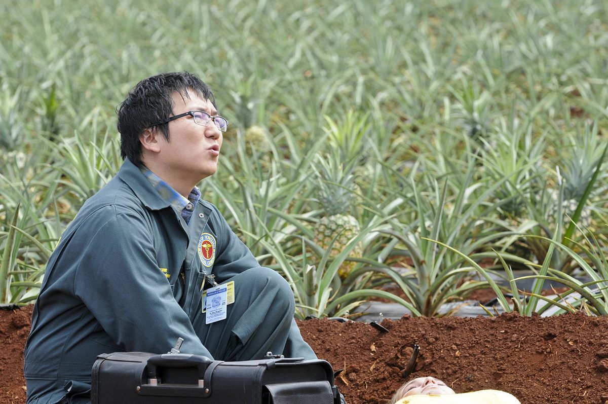hawaii five-0