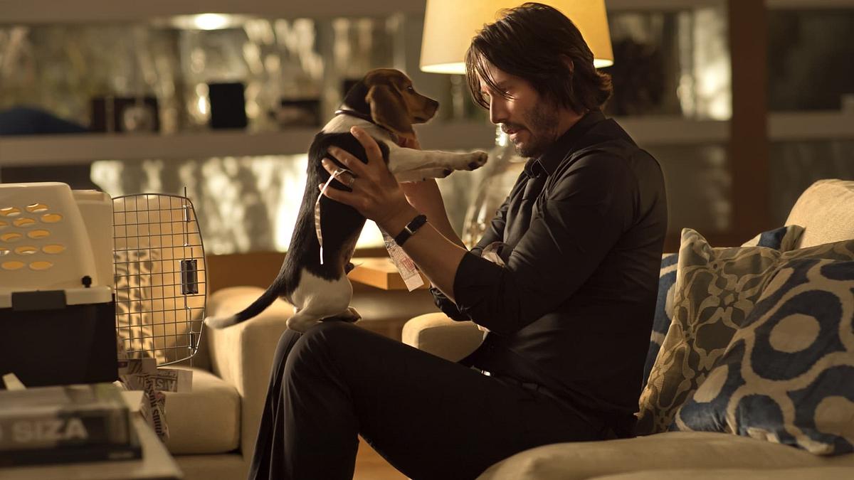 John Wick John Wick