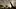 Video Platzhalter