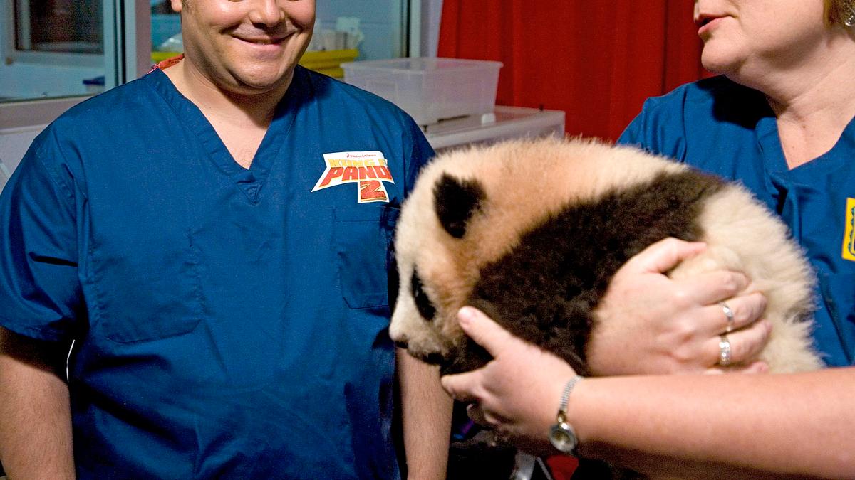 kung fu panda 2
