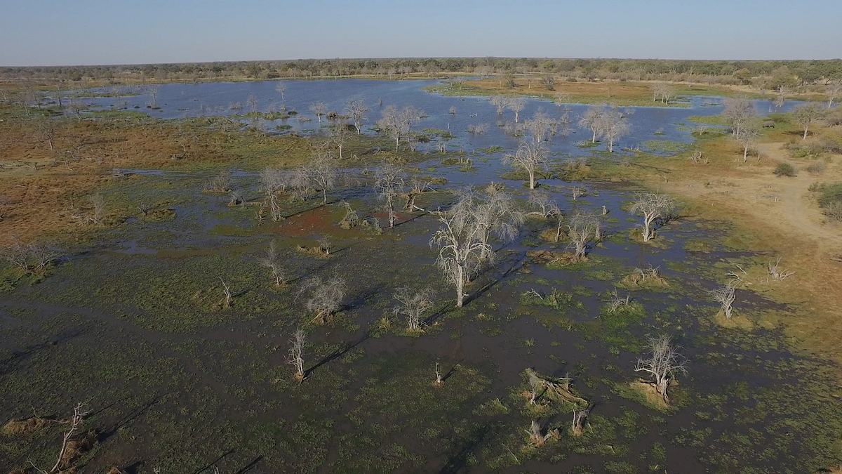 flut in der kalahari