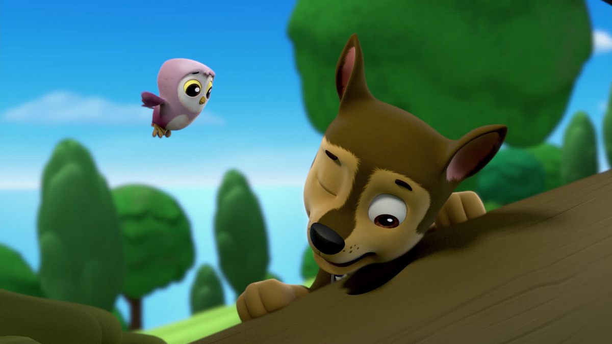 paw patrol - helfer auf vier pfoten