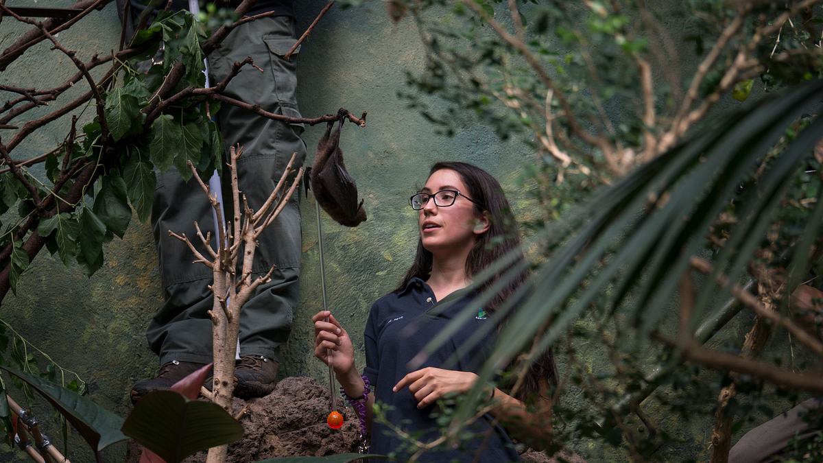 bronx zoo - tierpark der superlative