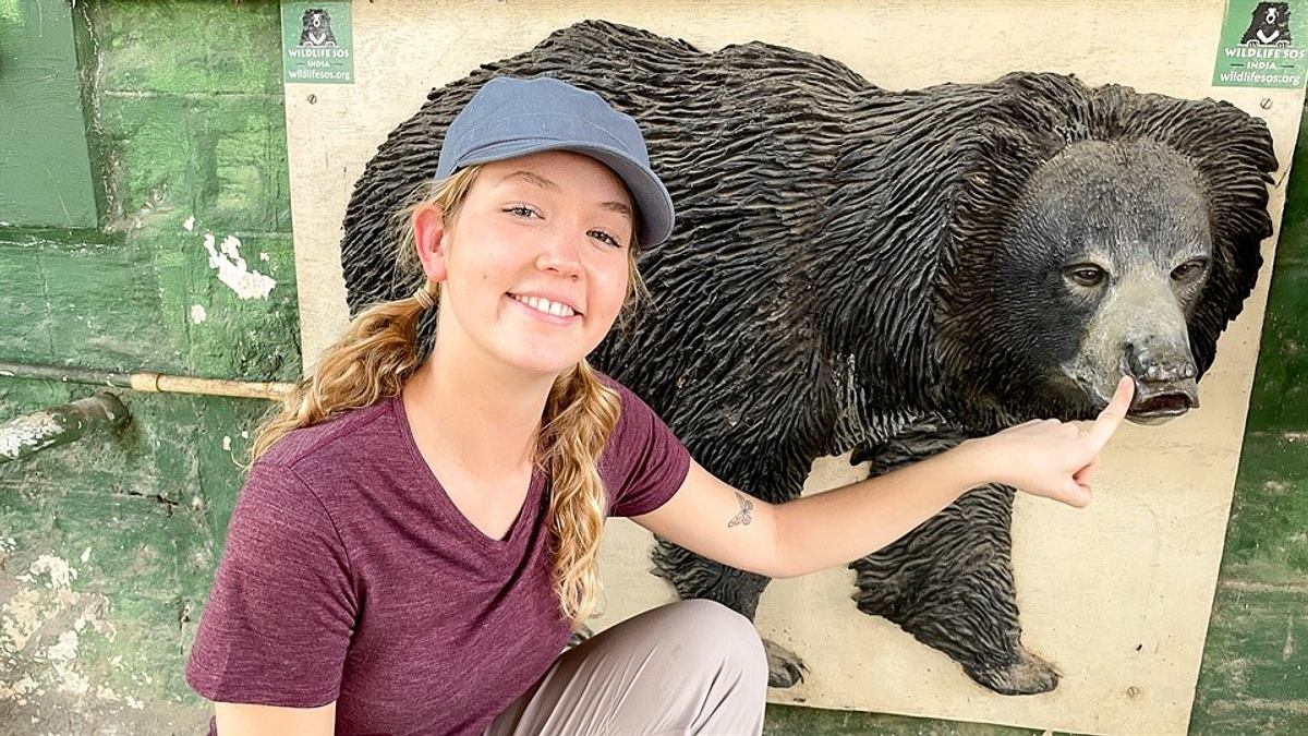 nina und die wilden tiere