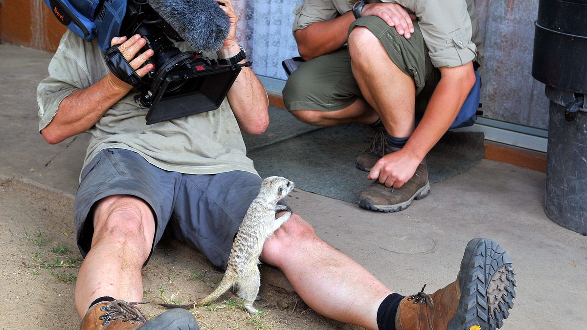 das waisenhaus für wilde tiere - abenteuer afrika