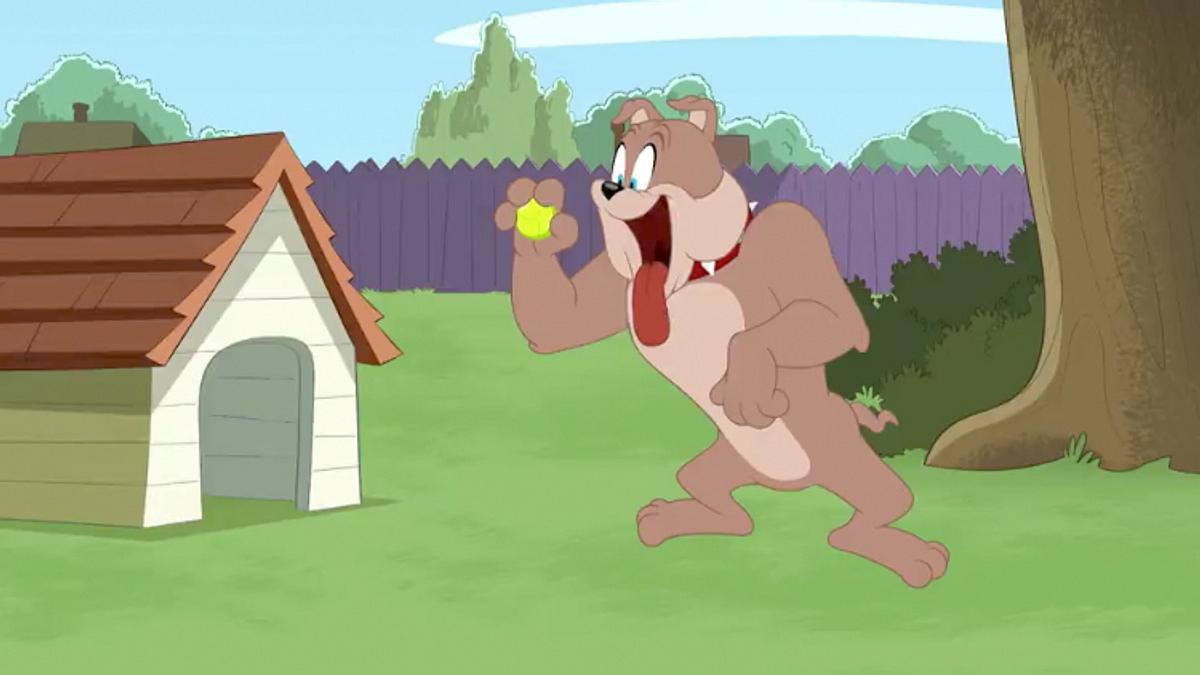 die tom und jerry show