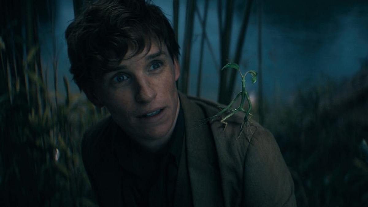 phantastische tierwesen: dumbledores geheimnisse