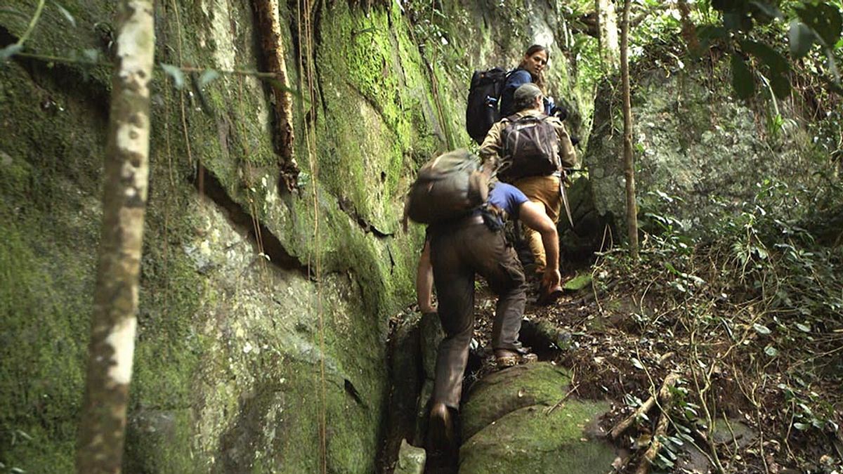 die schatzsucher von snake island