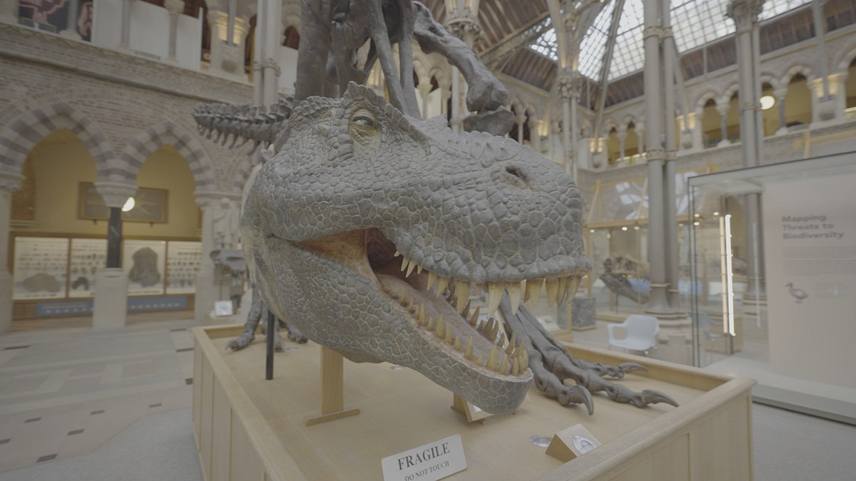 der dinosaurier-jäger