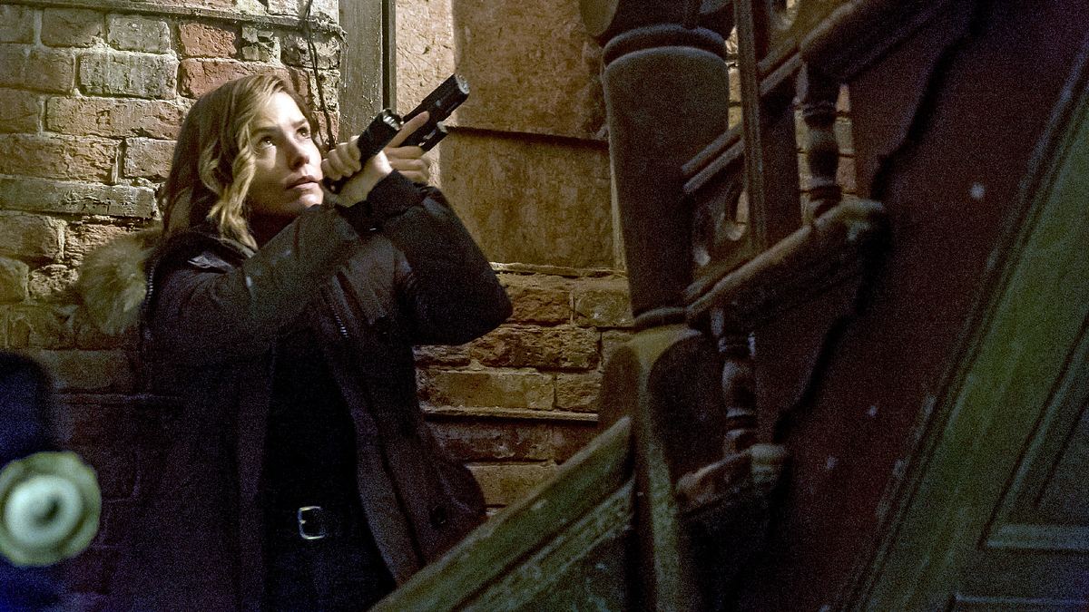 chicago p.d.