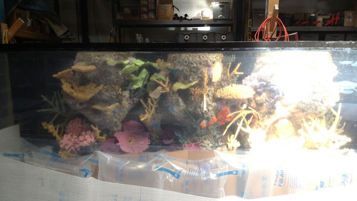 fish tank kings - gigantische wasserwelten