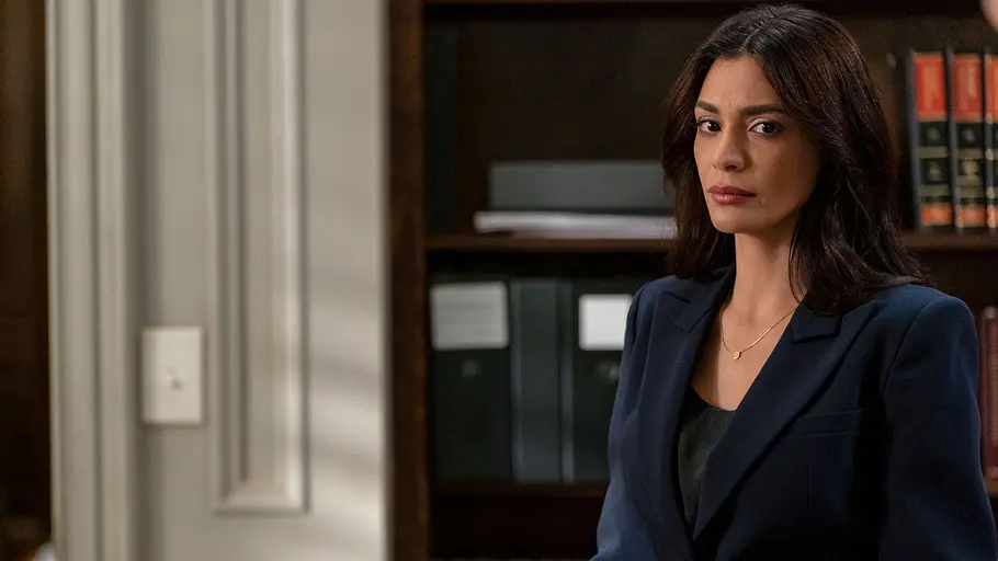 Law & Order law & order