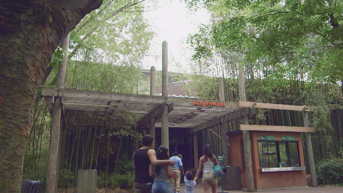 bronx zoo - tierpark der superlative