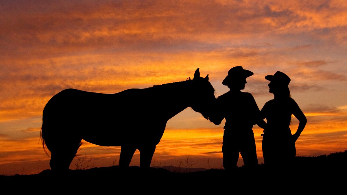 reiten ins abenteuer - mit vier mustangs durch den wilden westen