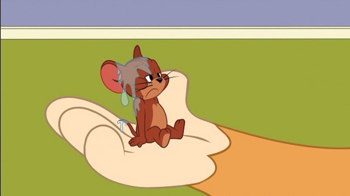 Die Tom und Jerry Show die tom und jerry show