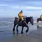 Leben an der Nordsee Thumbnail