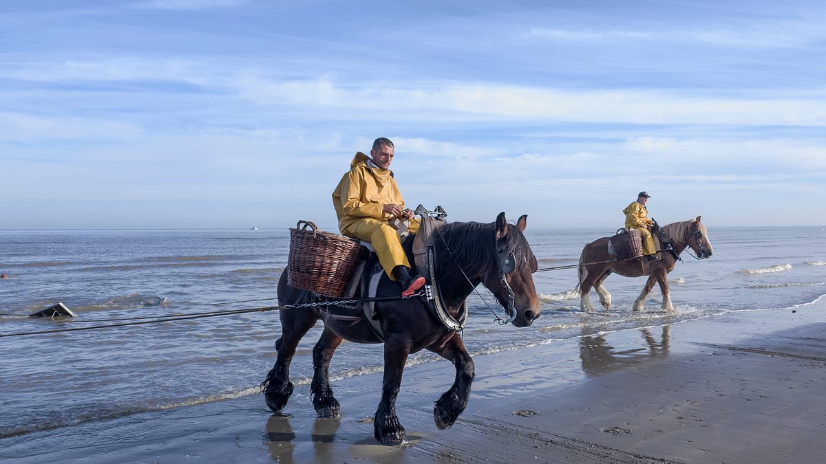 leben an der nordsee