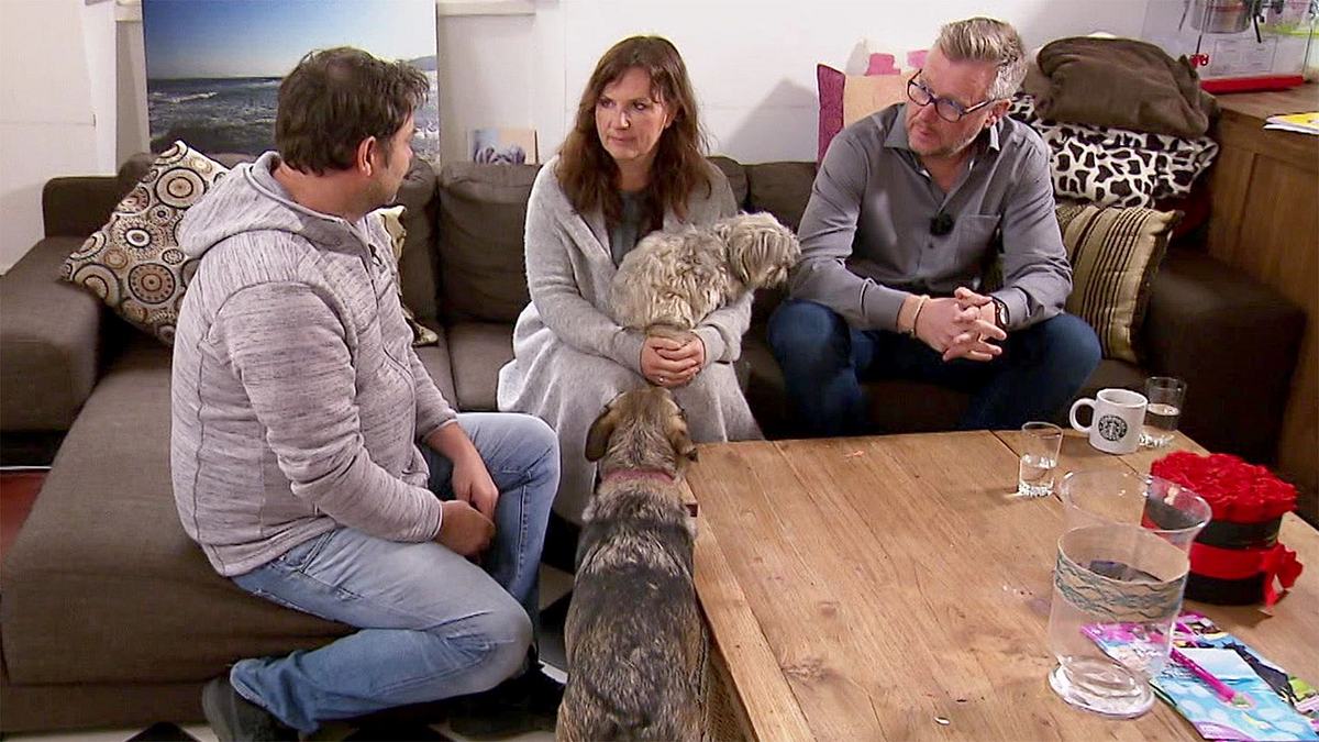 der hundeprofi