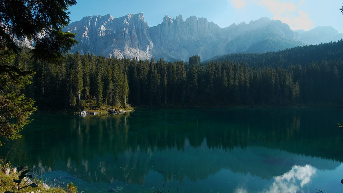 tierwelt der alpen