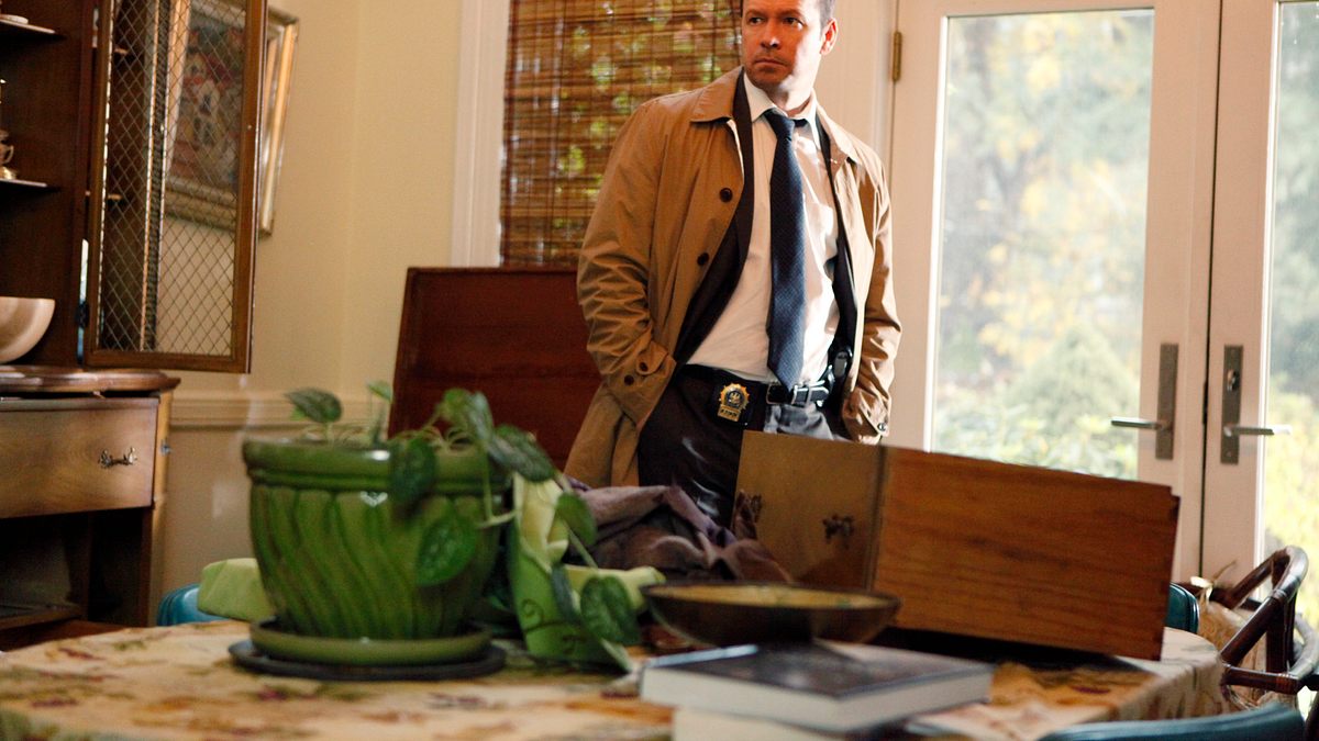 blue bloods - crime scene new york