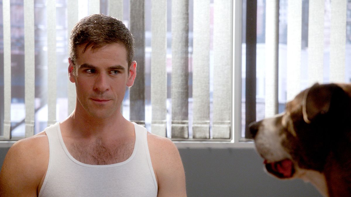 CSI: NY csi: ny