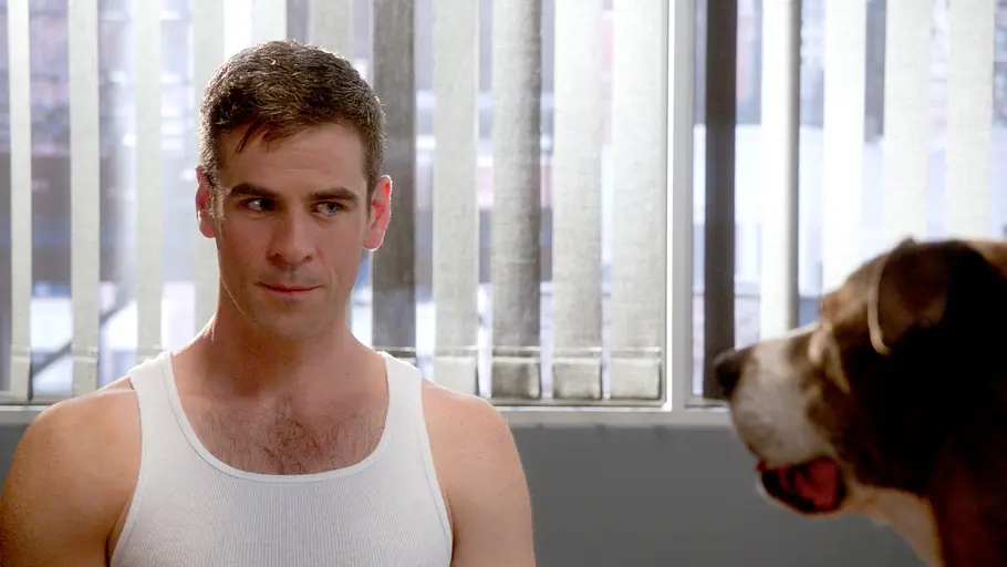csi: ny