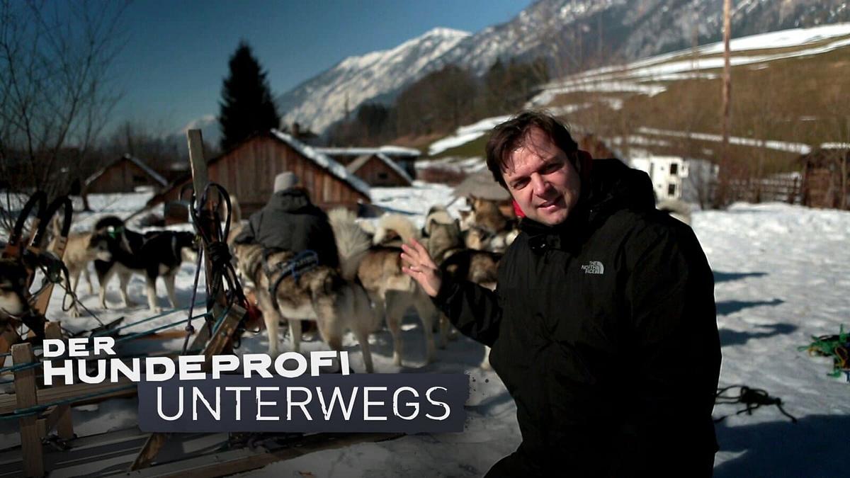 Der Hundeprofi unterwegs Der Hundeprofi unterwegs