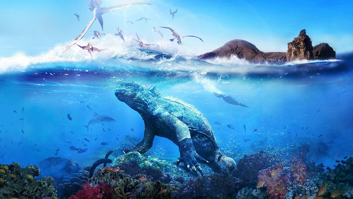 Galapagos - Inseln, die die Welt veränderten Galapagos - Inseln, die die Welt veränderten
