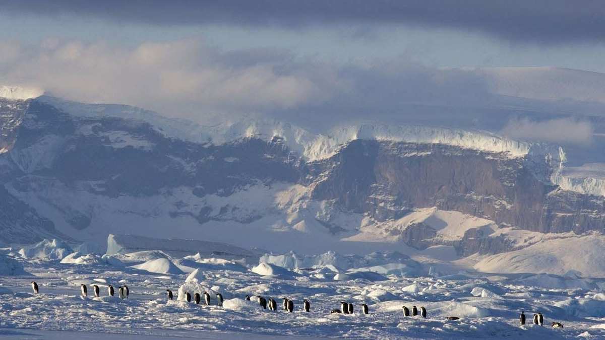 Die Reise der Pinguine 2 Die Reise der Pinguine 2