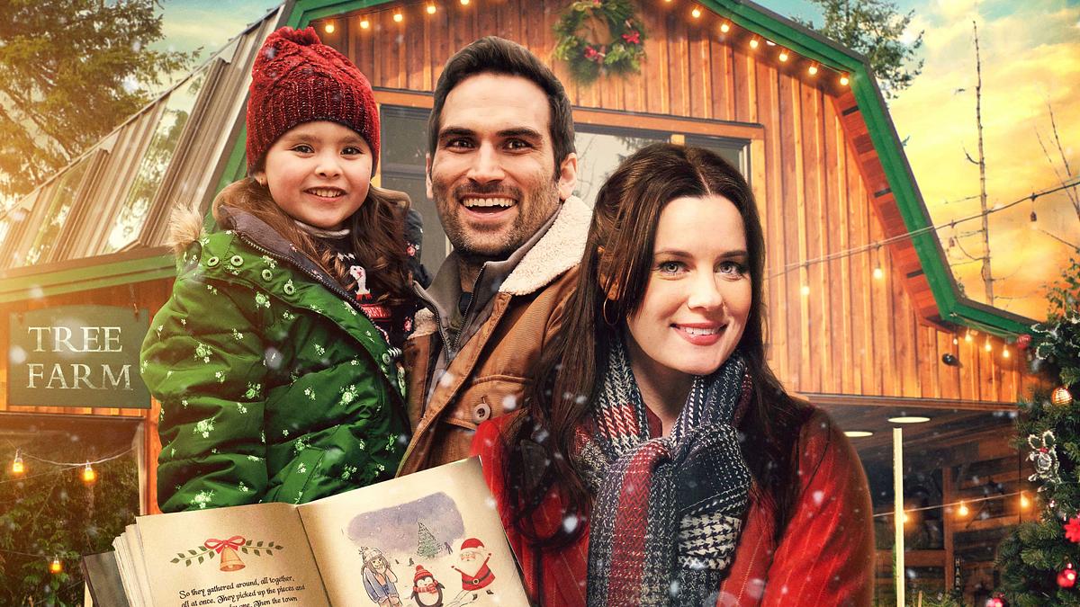 Das Weihnachtsbuch - Erinnerungen zum Fest