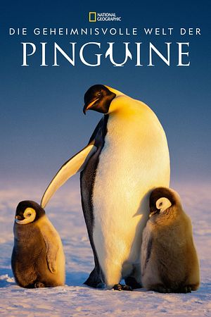 Die geheimnisvolle Welt der Pinguine - Foto: TMDB