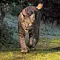 Europa, von wegen wild! Thumbnail