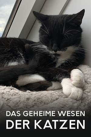 Das geheime Wesen der Katzen - Foto: TMDB