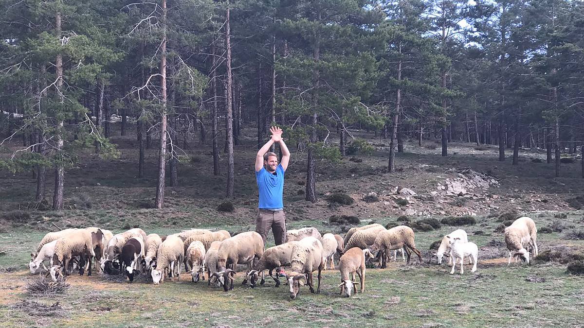 durch die wildnis - sierra nevada