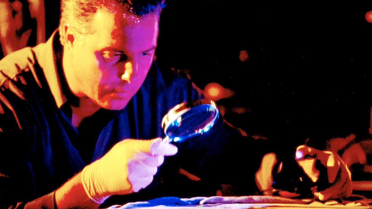csi: den tätern auf der spur