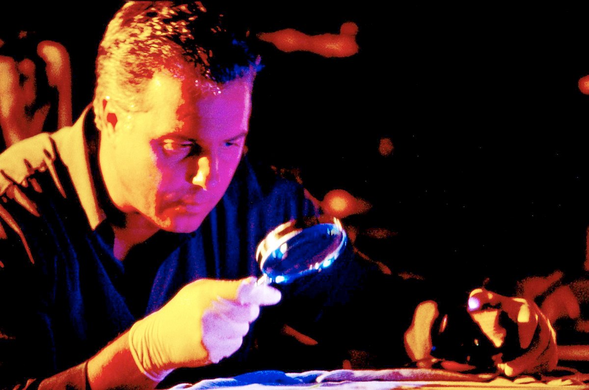 csi: den tätern auf der spur