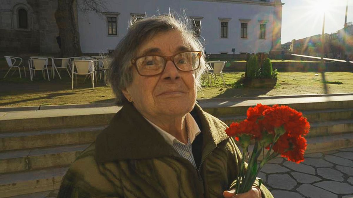 nelken für die revolution
