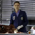 Bones - Die Knochenjägerin Thumbnail