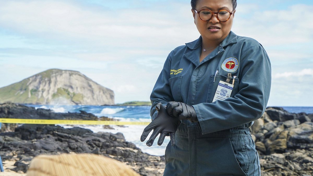 hawaii five-0