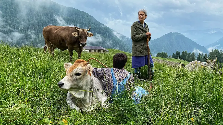 Das Trentino - Naturparadies in Norditalien das trentino - naturparadies in norditalien