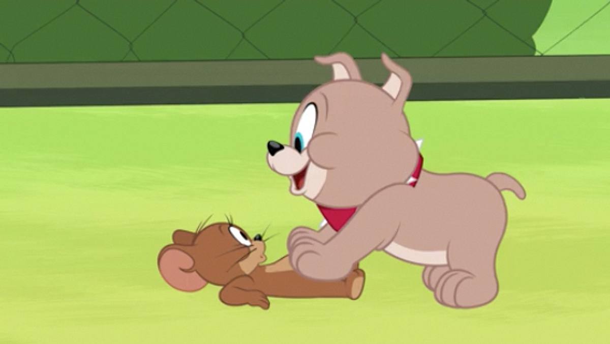 die tom und jerry show