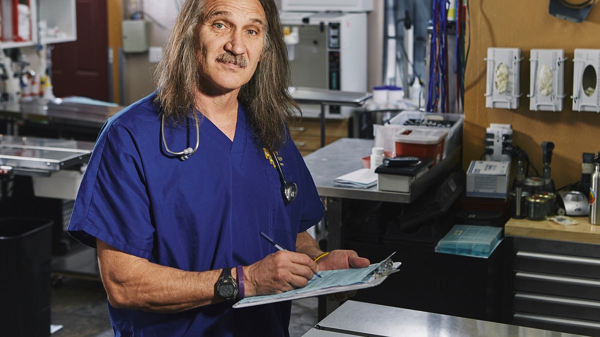 tierarzt dr. jeff