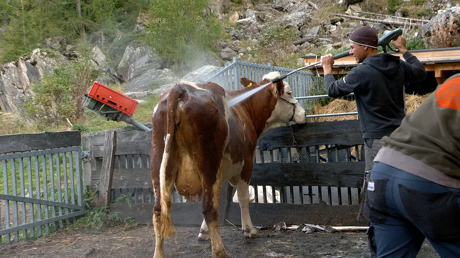 das tal der dreitausender: ahrntal in südtirol