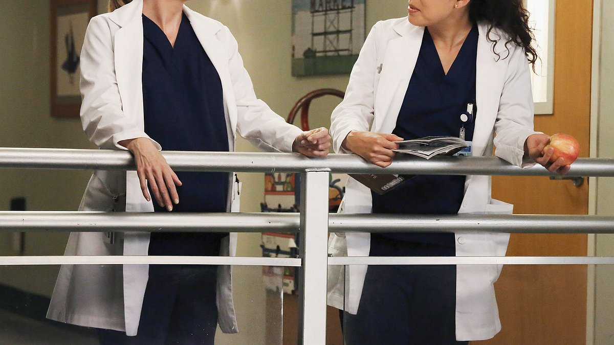 greys anatomy - die jungen ärzte